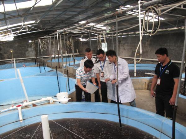 广东中山市开展水产养殖苗种质量安全监管专项执法行动