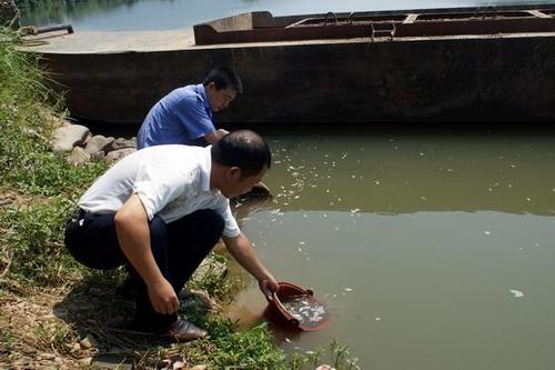 福建:今年建瓯水产苗种溪河放流已达240万尾