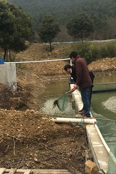 安徽巢湖市水产局开展水产品质量抽检